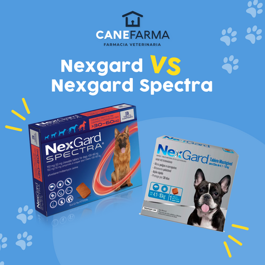 NexGard Spectra vs. NexGard: Diferencias Clave en la Protección contra Parásitos en Perros